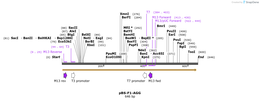 37036_map