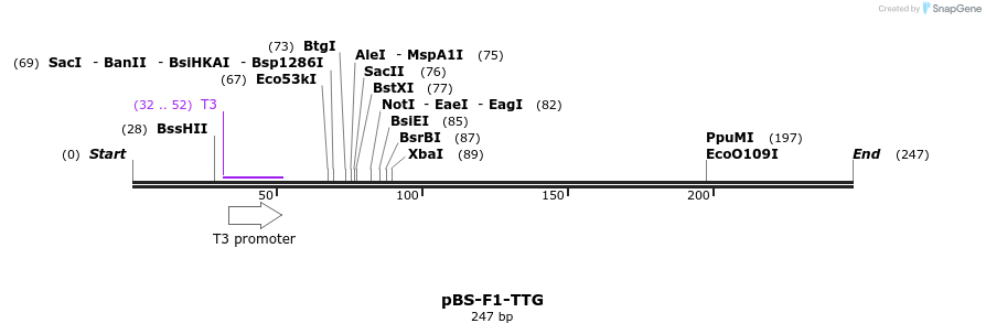 37040_map