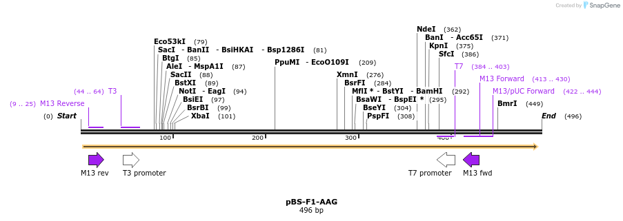 37041_map