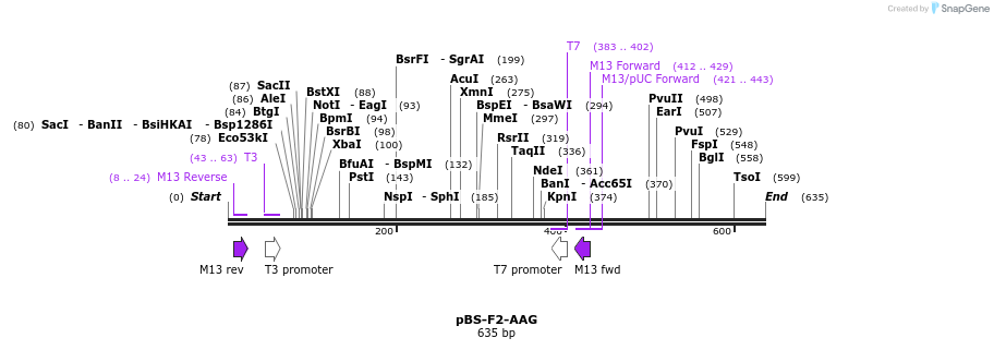37043_map