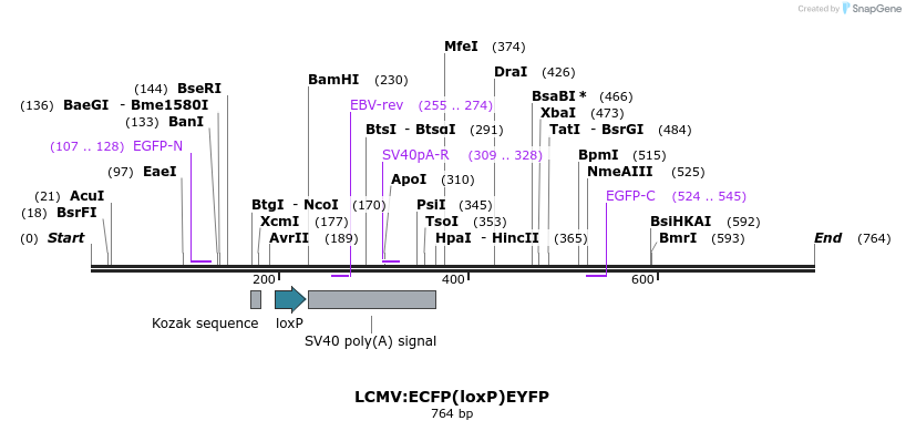 37046_map