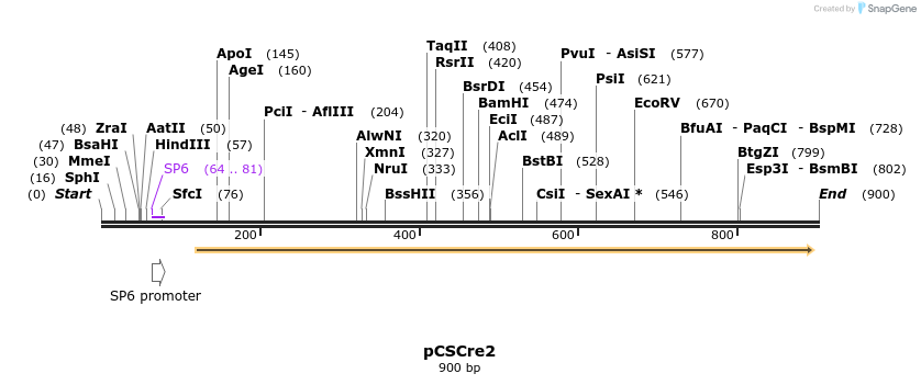 37049_map