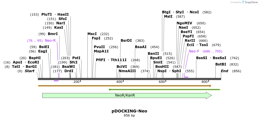 37051_map