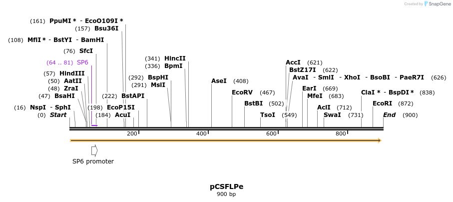 37052_map