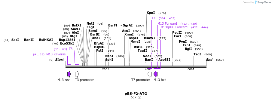 37054_map