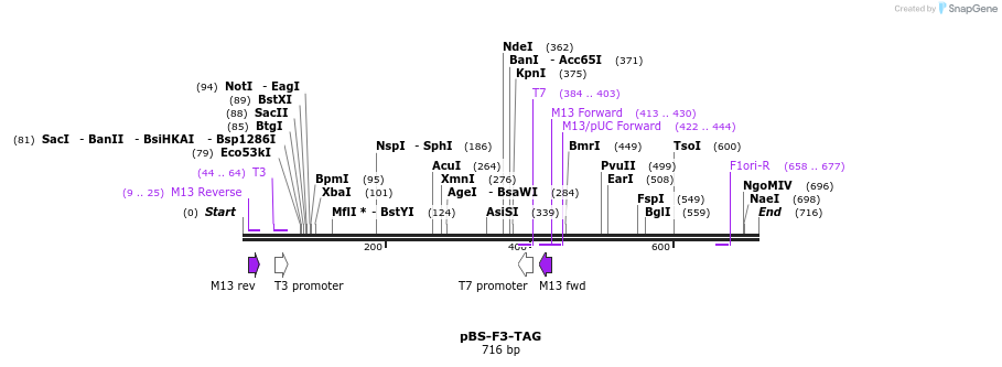 37059_map