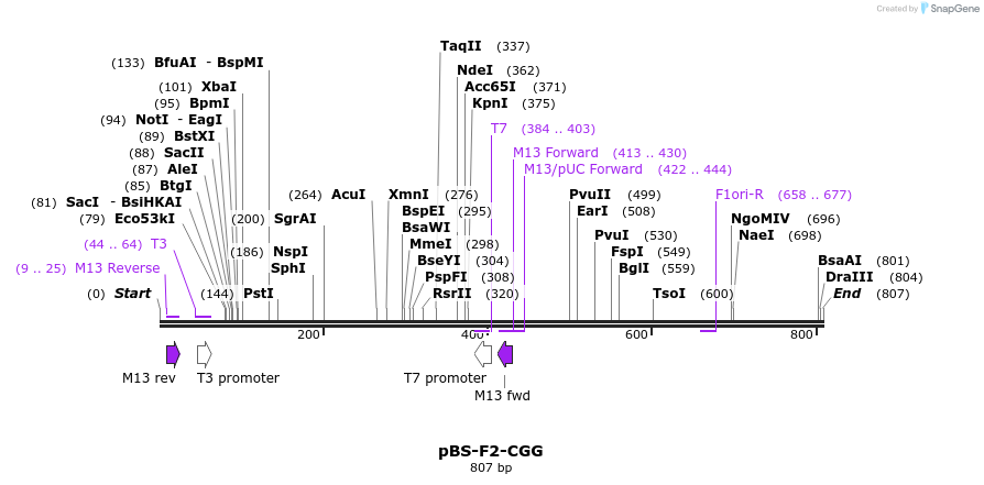 37063_map