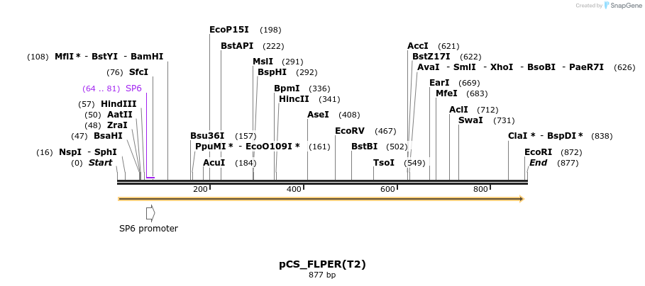 37065_map