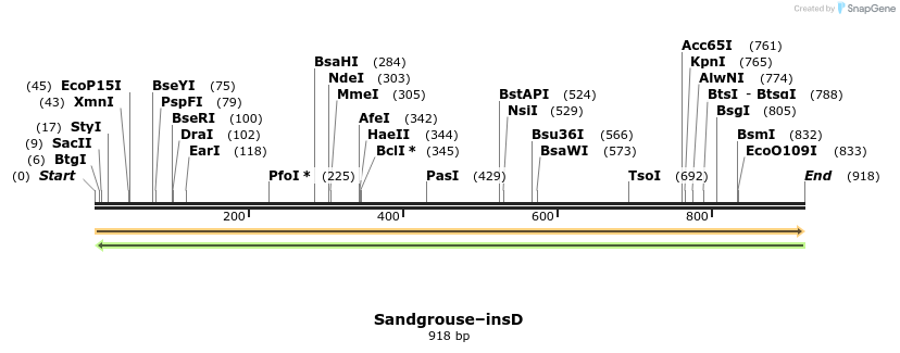 370730_map