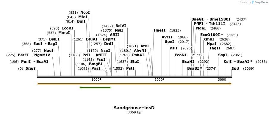 370731_map