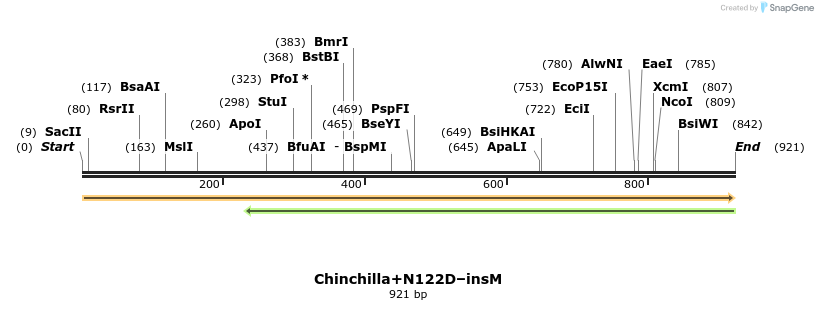 370735_map