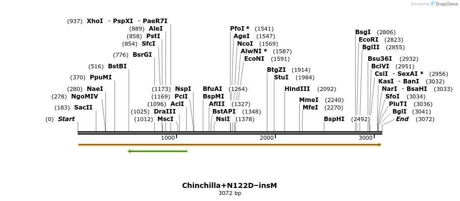 370736_map