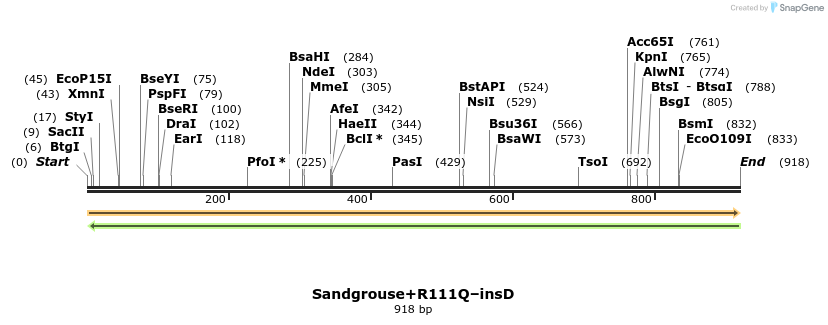370737_map