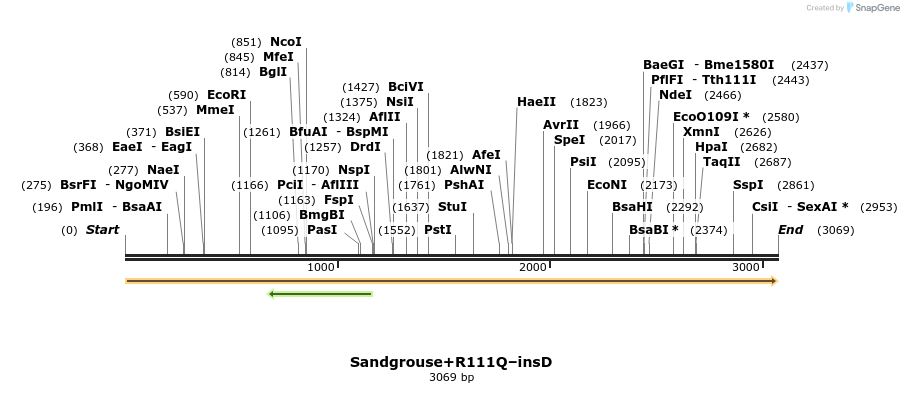 370738_map