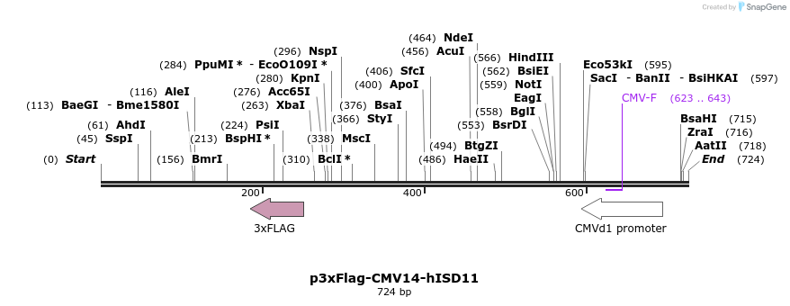 37074_map