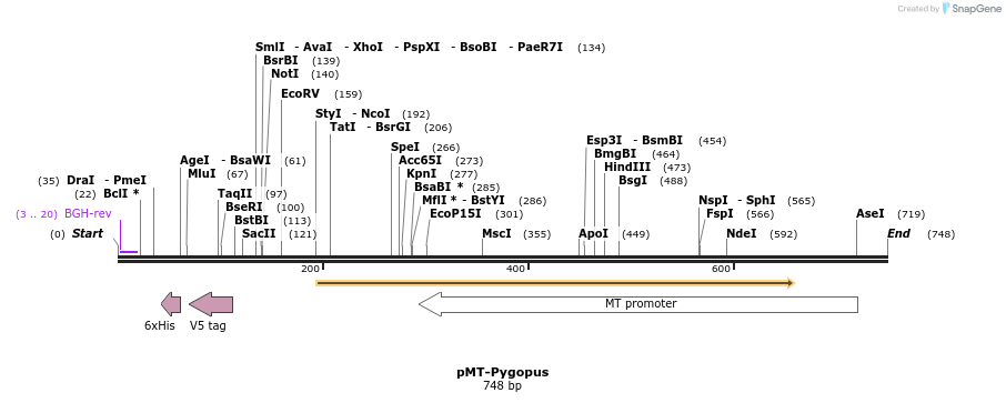37075_map