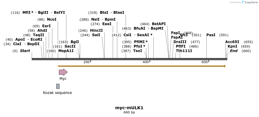 37076_map