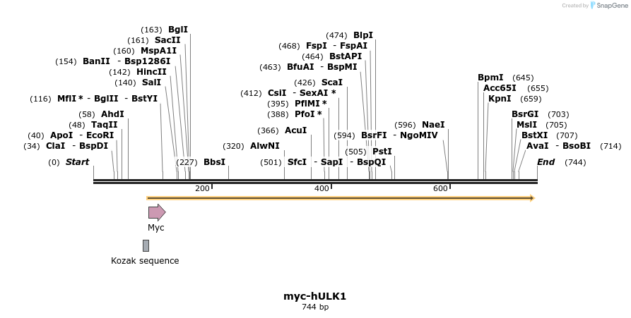 37077_map
