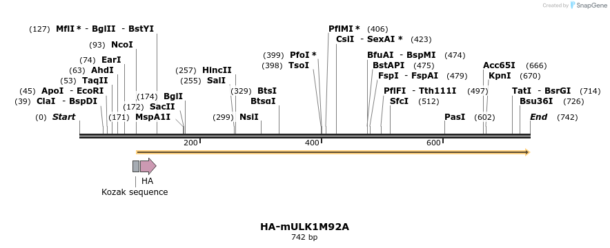 37080_map