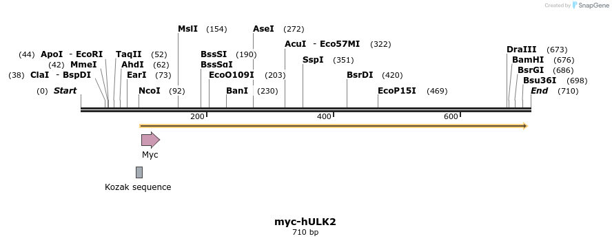 37082_map