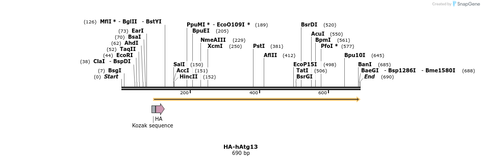 37083_map