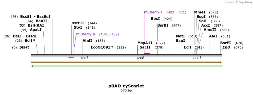370849_map