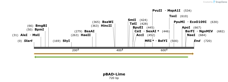 370851_map