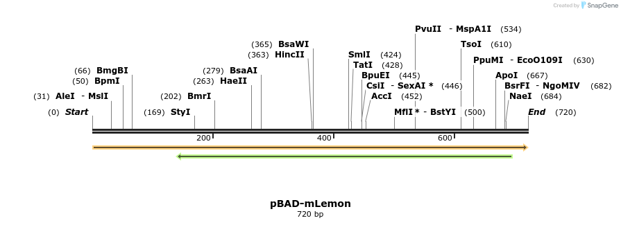 370852_map