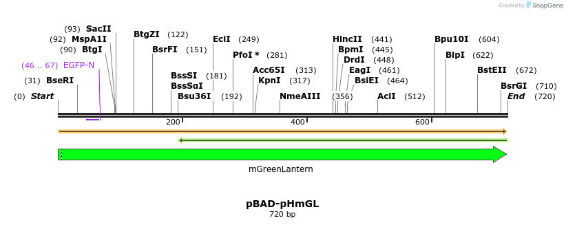 370853_map