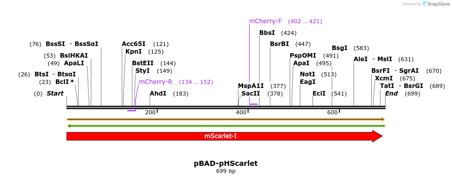 370854_map