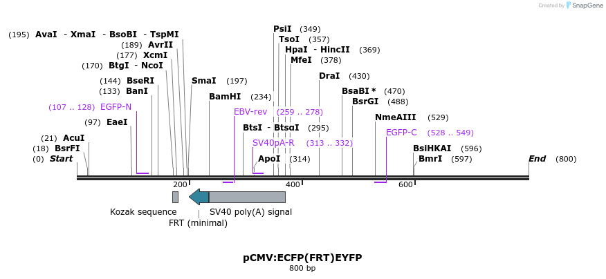 37089_map