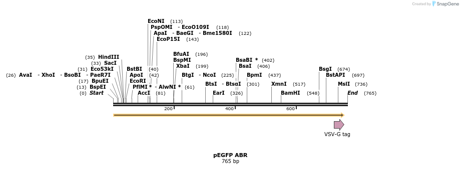 37093_map
