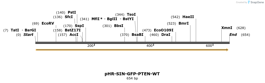 37094_map