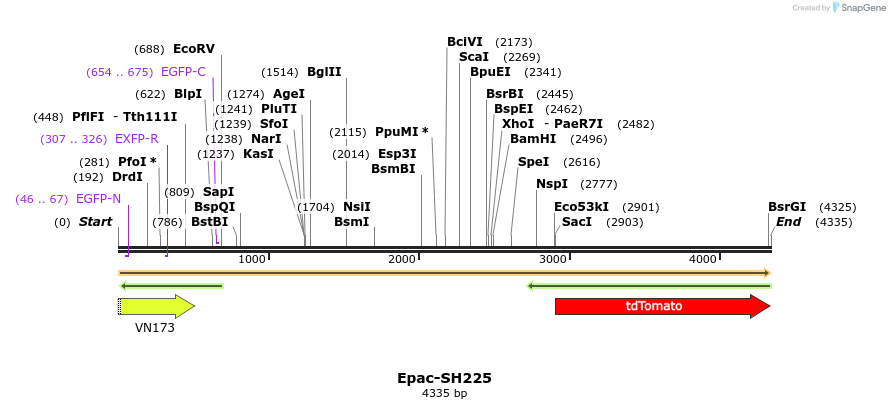 371065_map