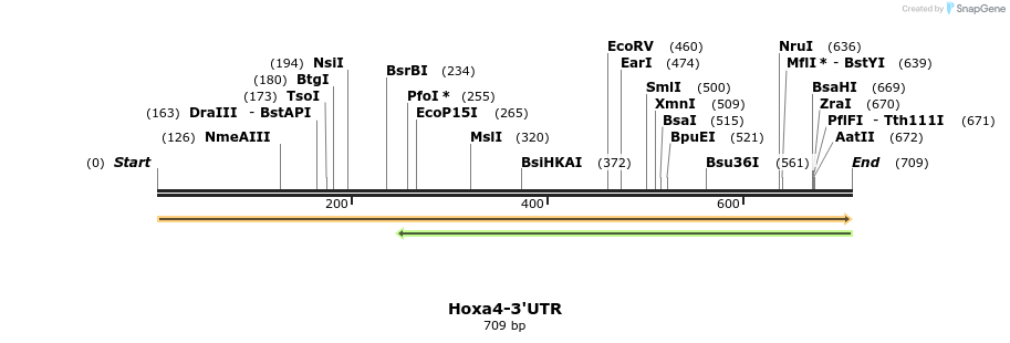 37110_map
