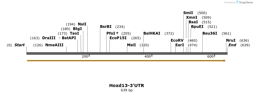 37111_map