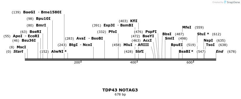 37120_map