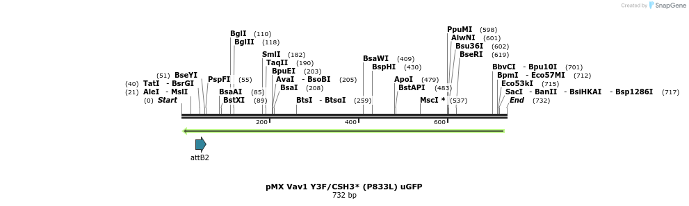 37123_map