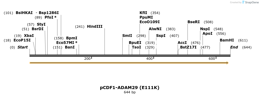 37124_map