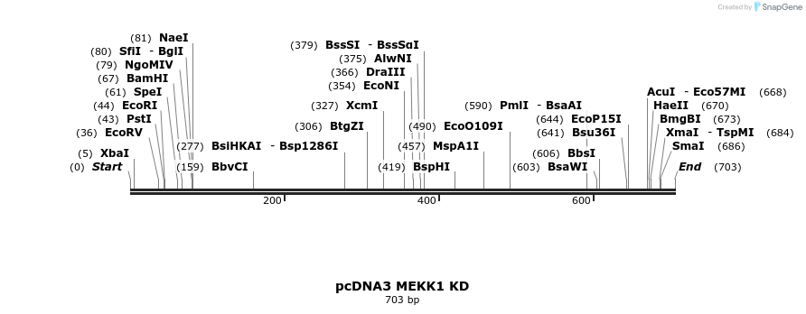 37128_map