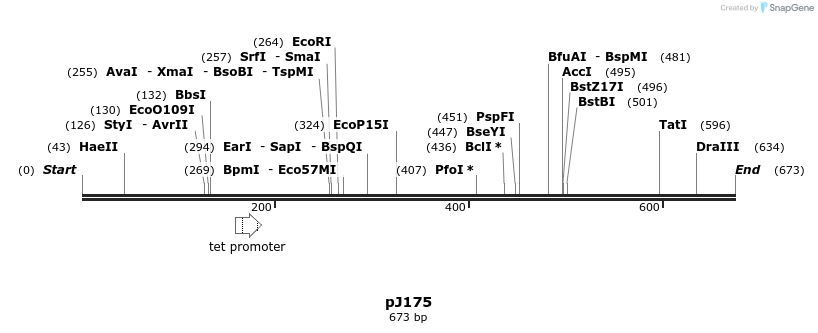 37129_map