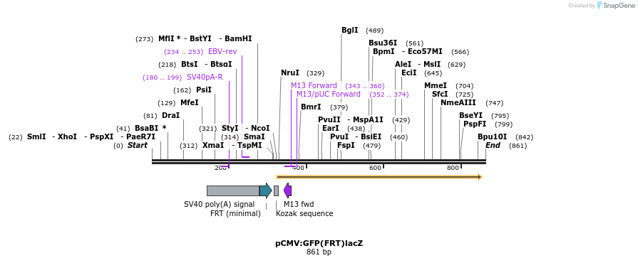 37130_map