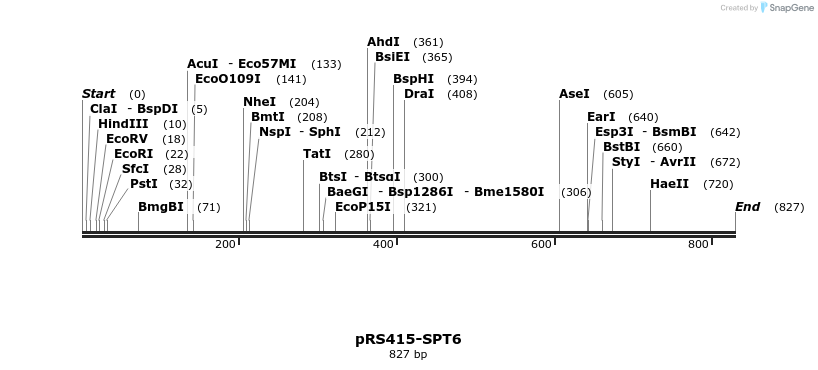 37132_map