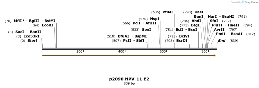 37133_map