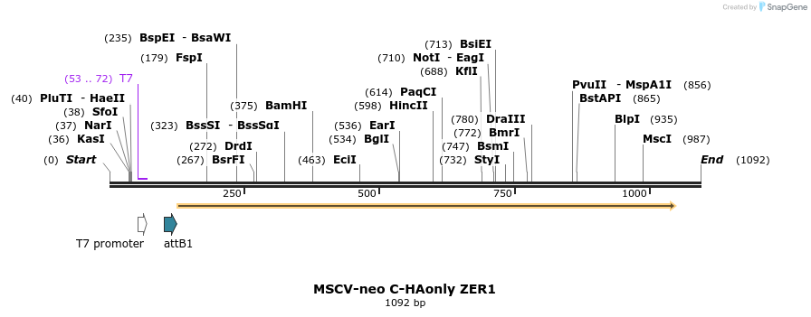 371346_map