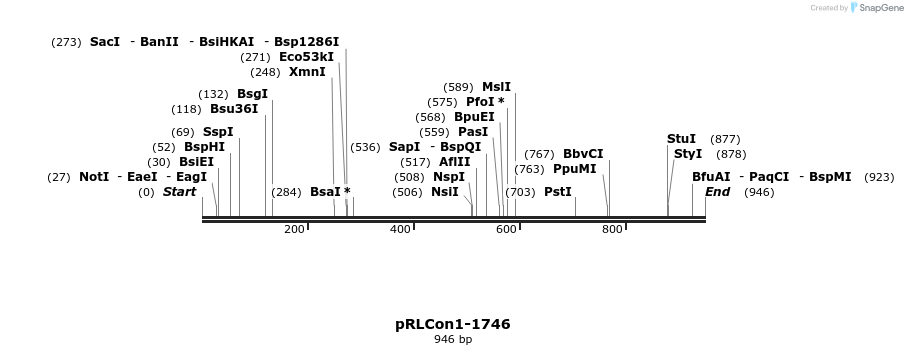 37135_map