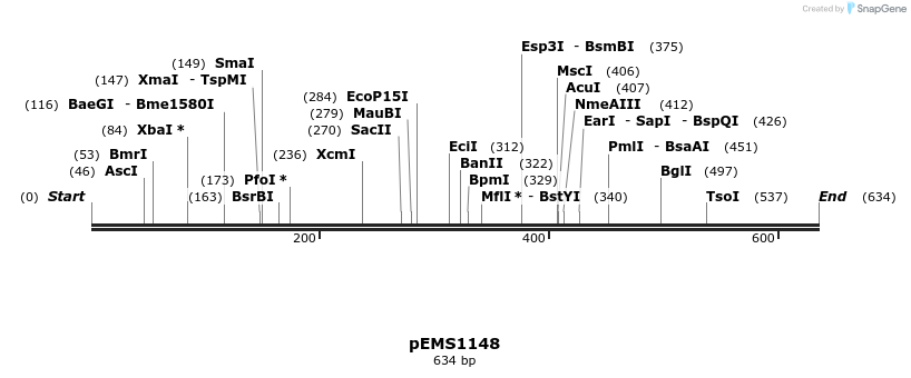 37136_map