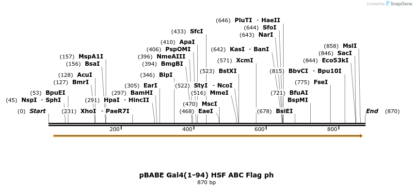 37137_map