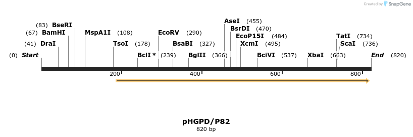 37139_map