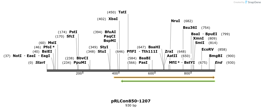 37142_map